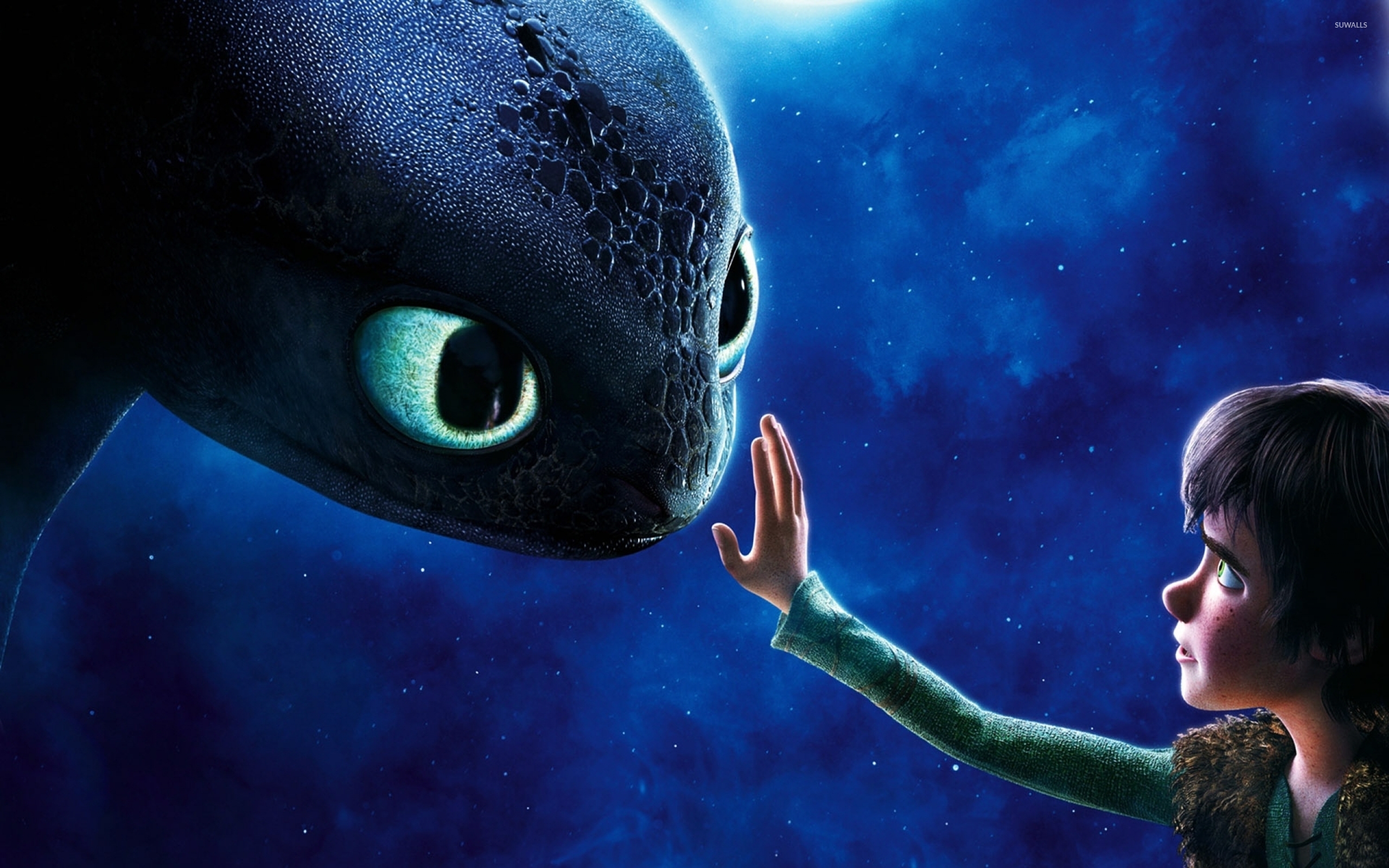Sdentato e Hiccup, Dragon Trainer, 2560x1600 2K, Desktop