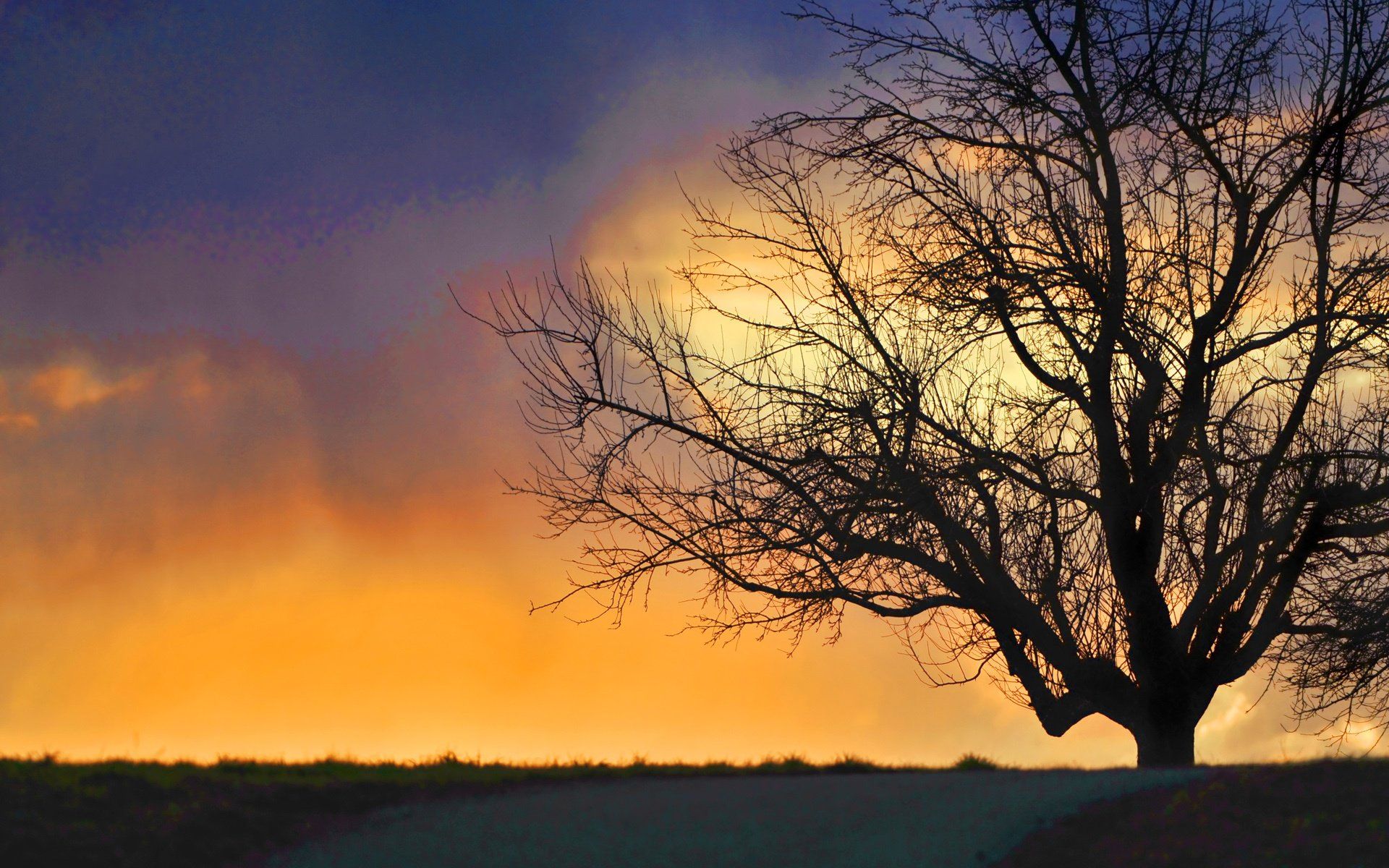 Albero silhouette tramonto drammatico, 1920x1200 Full HD+ WUXGA, Desktop