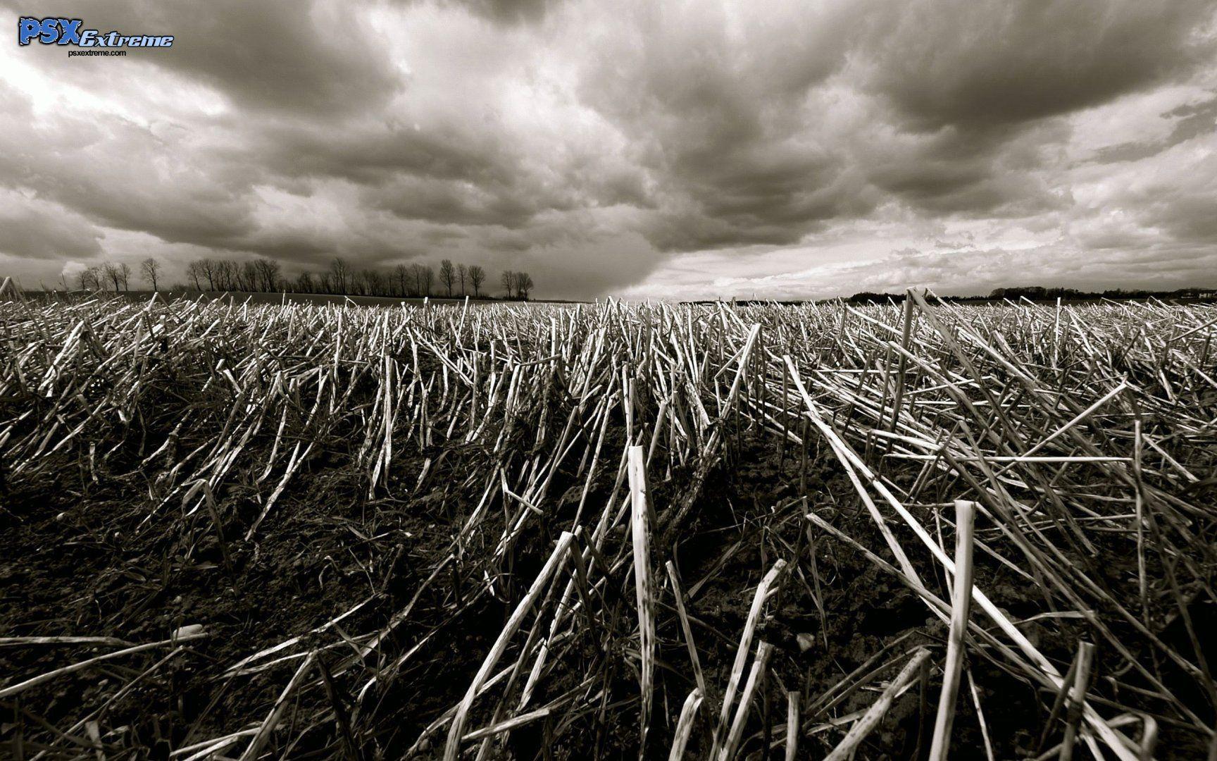 Campo di stoppie sotto nuvole, 1728x1080 HD, iMac