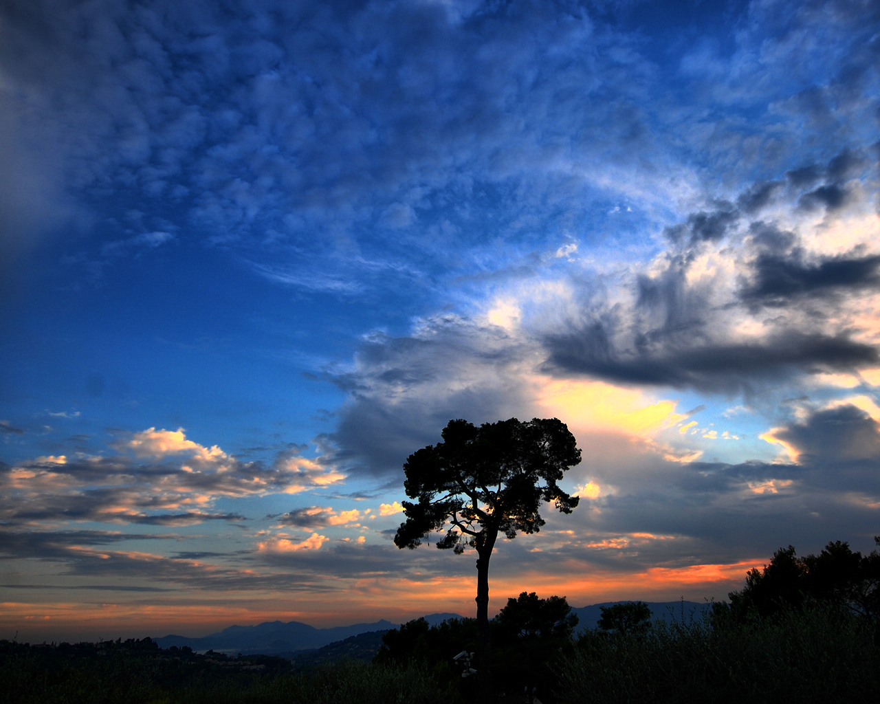 Albero silhouette cielo drammatico tramonto, 1280x1024 720p, Laptop