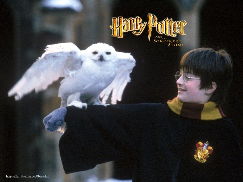 Harry Potter con Edvige gufo, 1920x1080 1080p, PC Desktop
