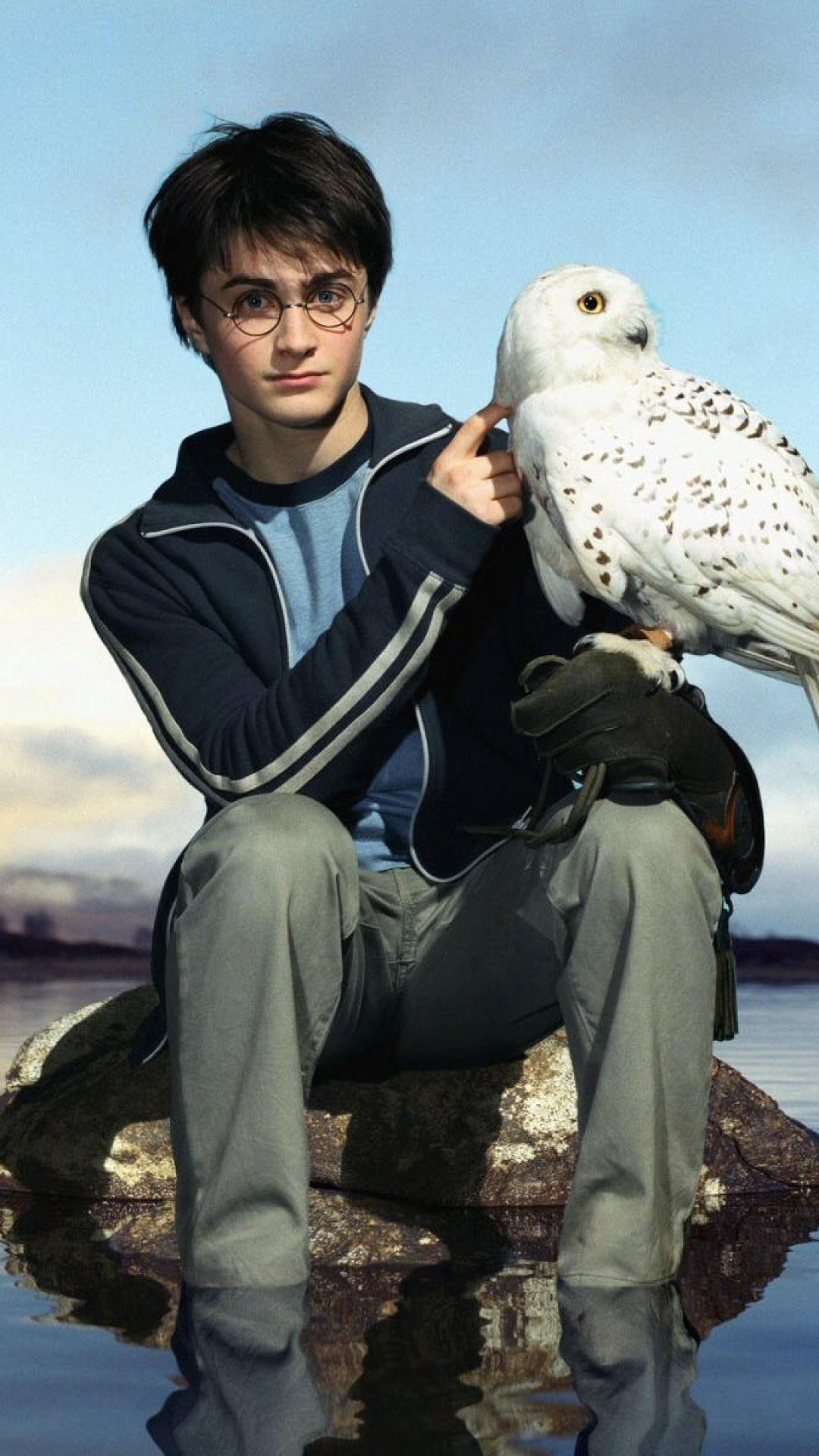 Harry Potter con Edvige gufo, mondo magico, 1080x1920 Verticale, Mobile