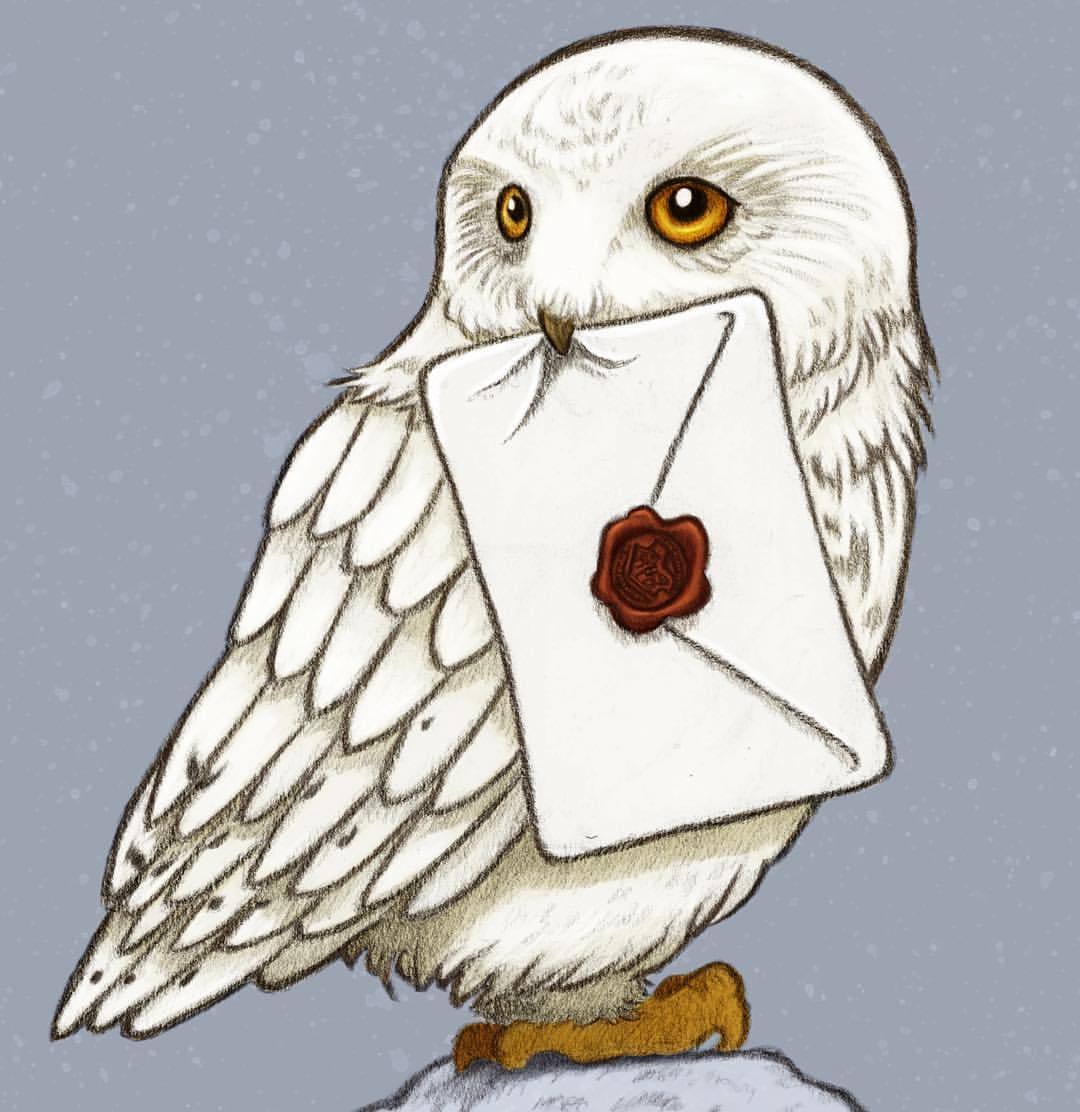 Edvige gufo Harry Potter, 1242x2208 Full HD Verticale, iPhone