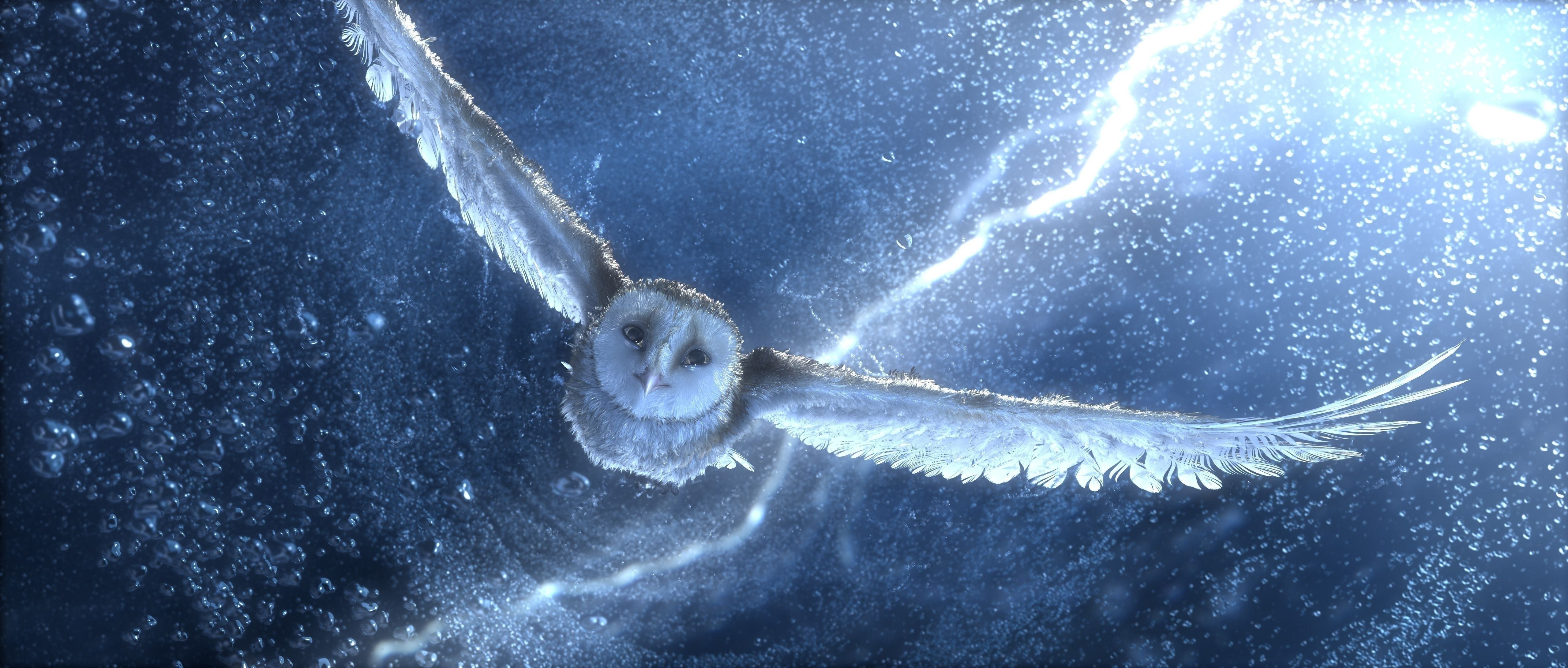 Gufo Edvige in volo, Harry Potter, 5122x2182 Panoramico, Smart TV 4K