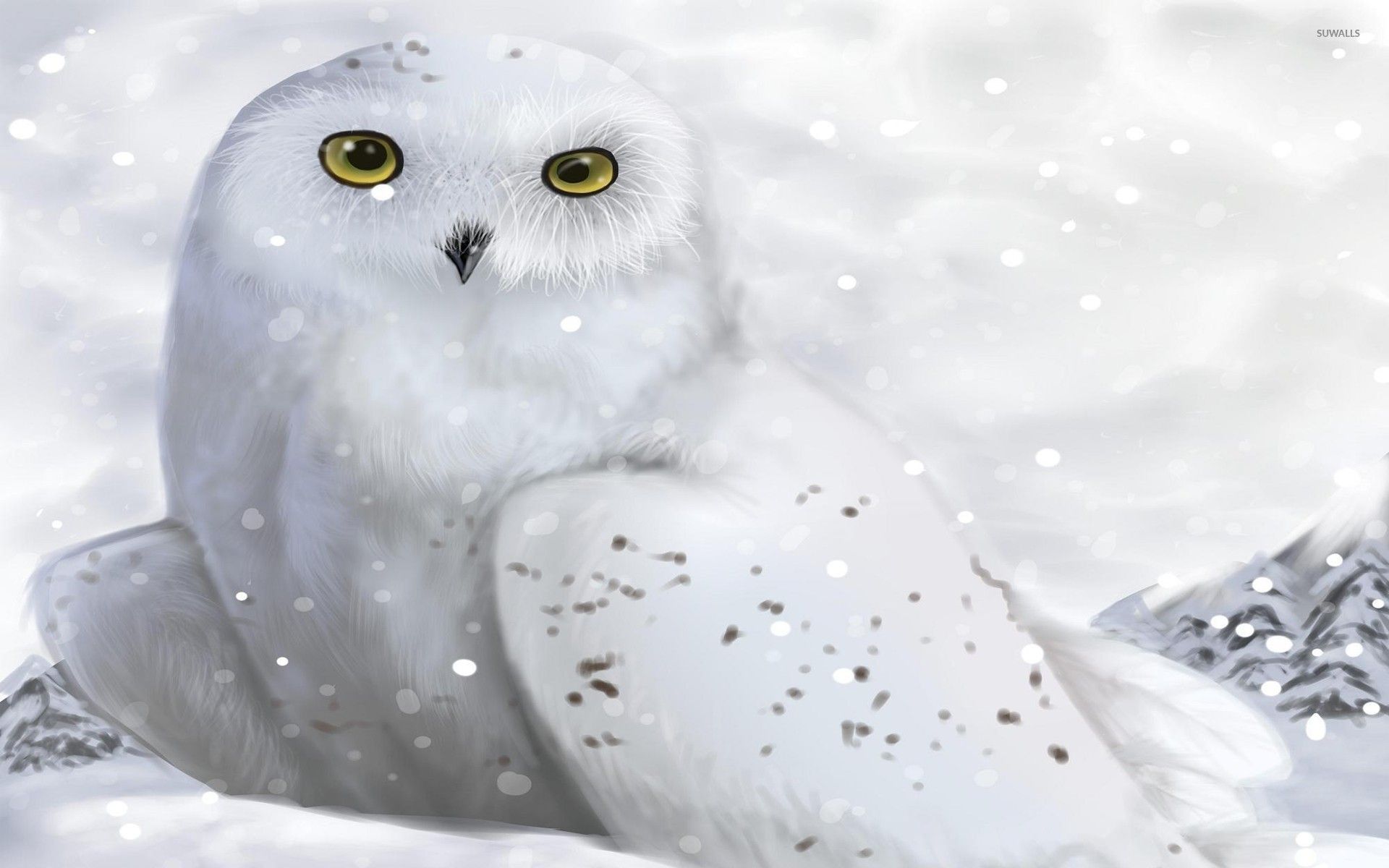 Gufo delle nevi bianco, 1920x1200 Full HD+, Desktop