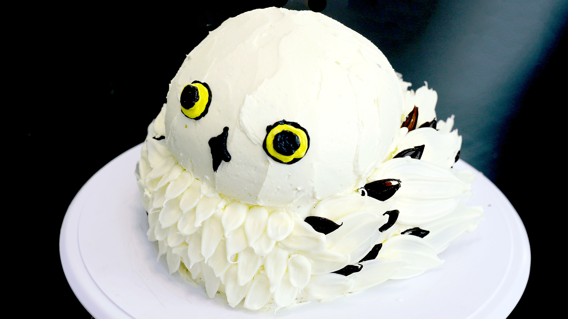 Torta gufo bianca Edvige, 1920x1080 Full HD 1080p, PC Desktop