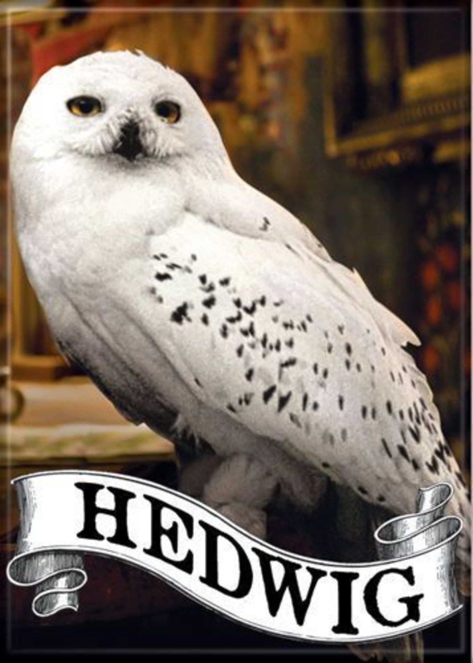Gufo bianco Edvige Harry Potter, 1600x2241 Full HD Verticale, Samsung Galaxy