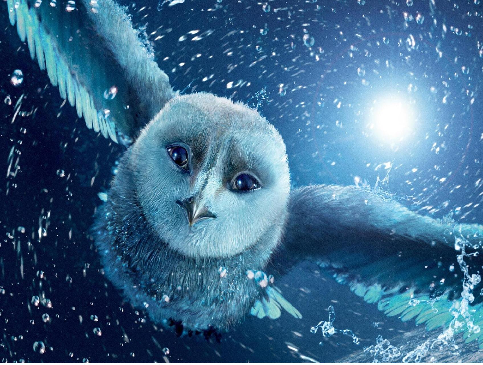 Gufo bianco Hedwig in volo, 1695x1280 900p, Laptop