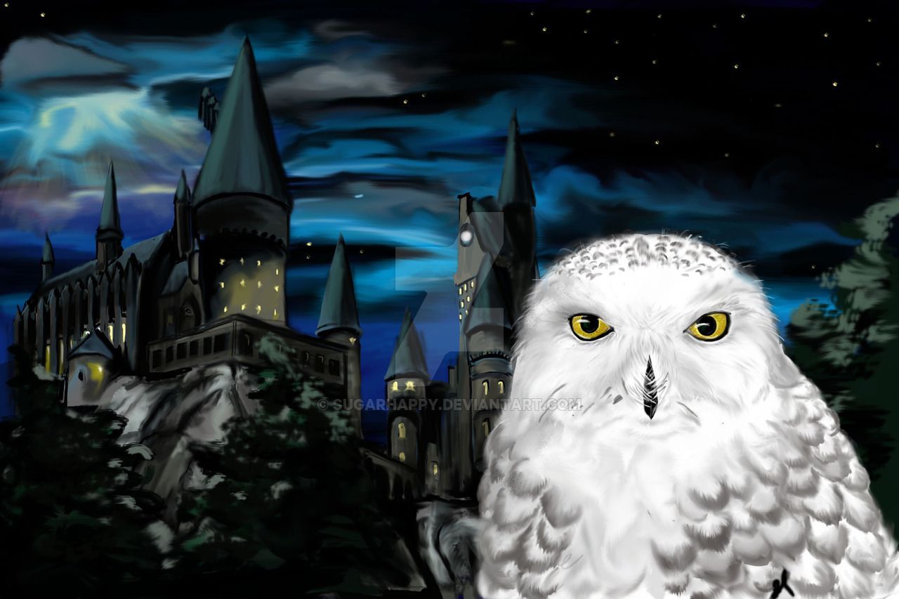 Gufo bianco Hedwig, castello Hogwarts, scuola di magia, 1280x853 720p, PC
