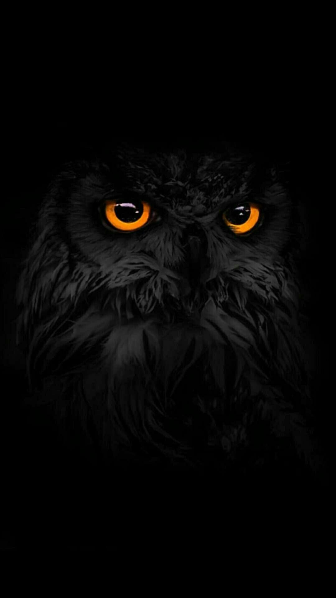 Gufo nero occhi arancioni, 1080x1920 Verticale, Telefono