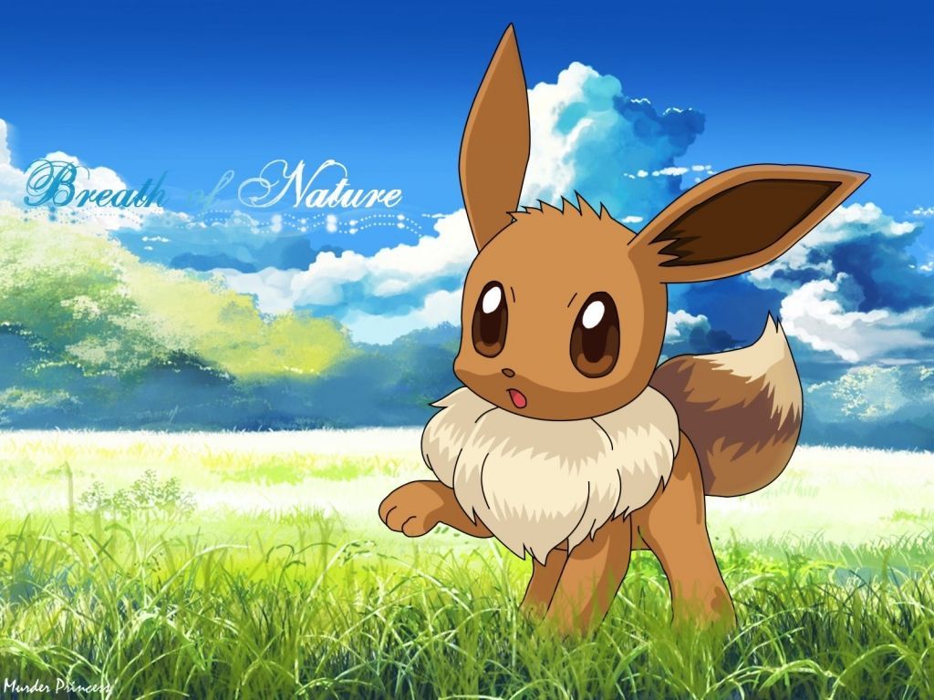Eevee Pokemon nel prato, Nintendo, 1024x768 HD, Laptop