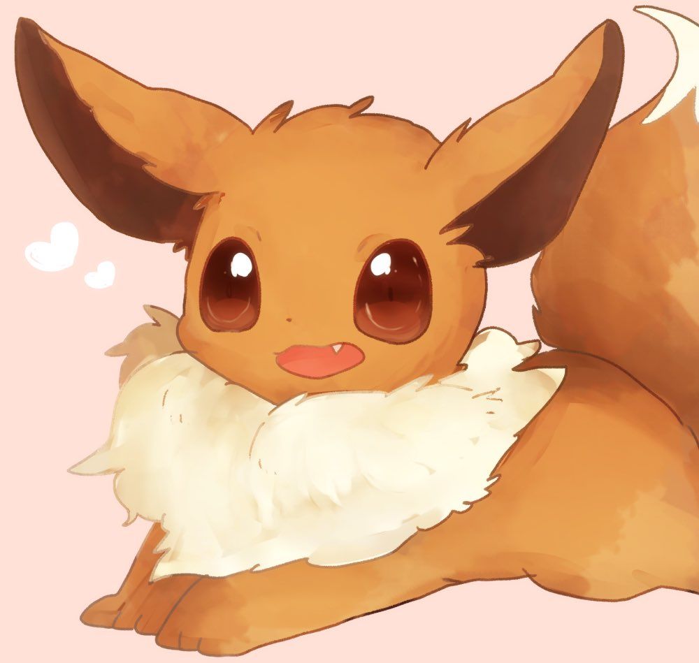 Eevee Pokemon carino, 1000x949 HD, Desktop