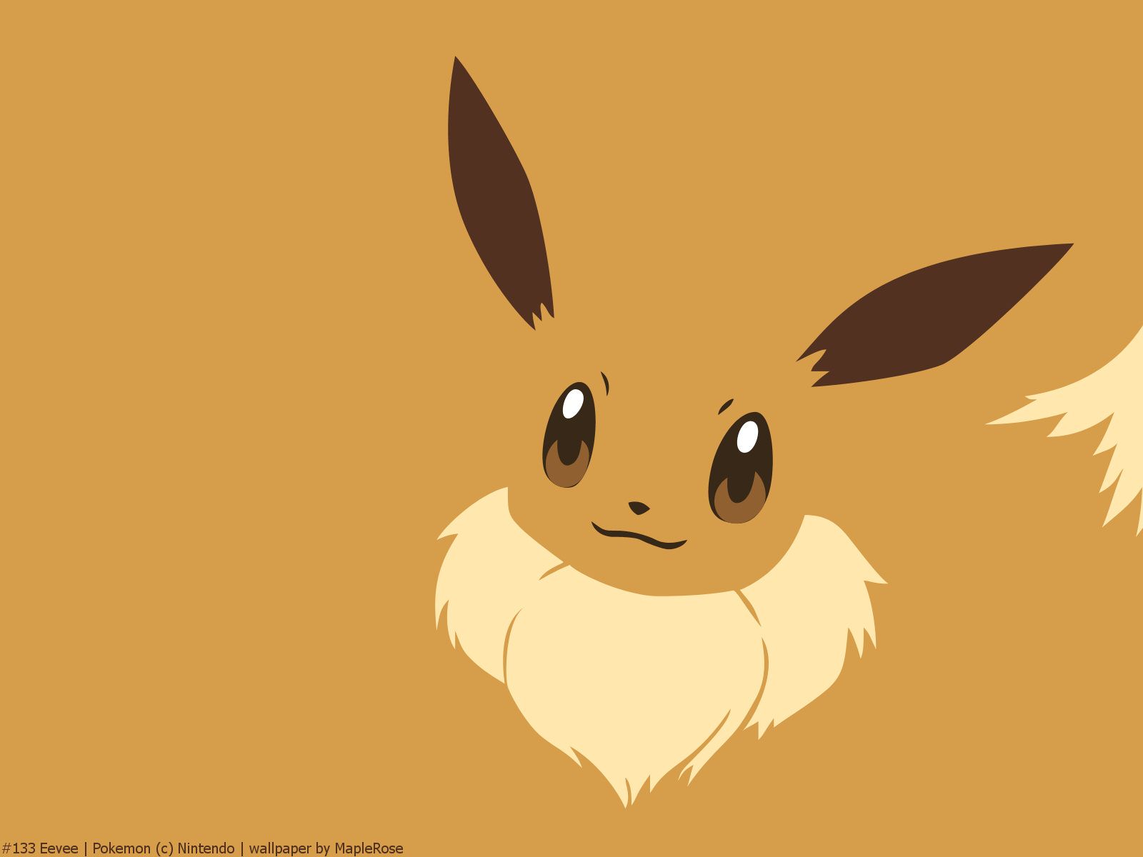 Eevee Pokemon illustrazione, 1600x1200 HD Ready, PC