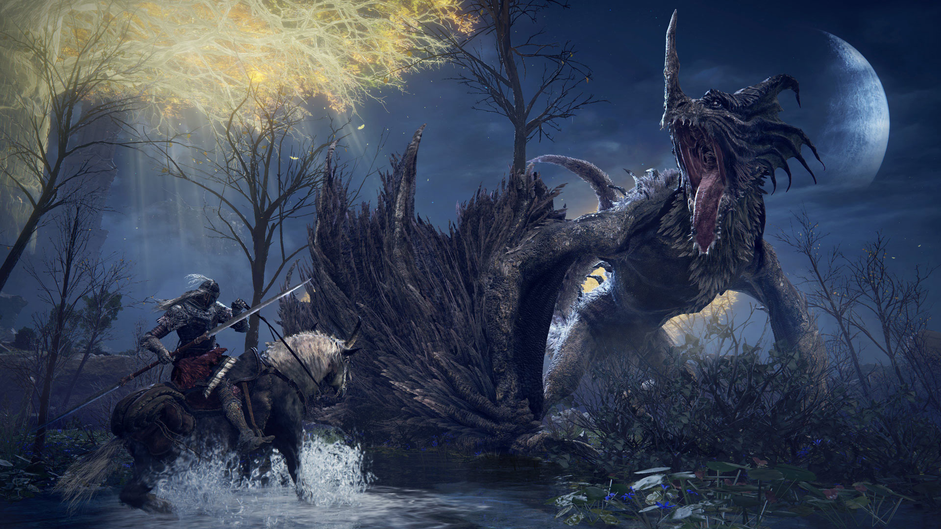 Elden Ring cavaliere contro drago, 1920x1080 Full HD 1080p, PC Desktop