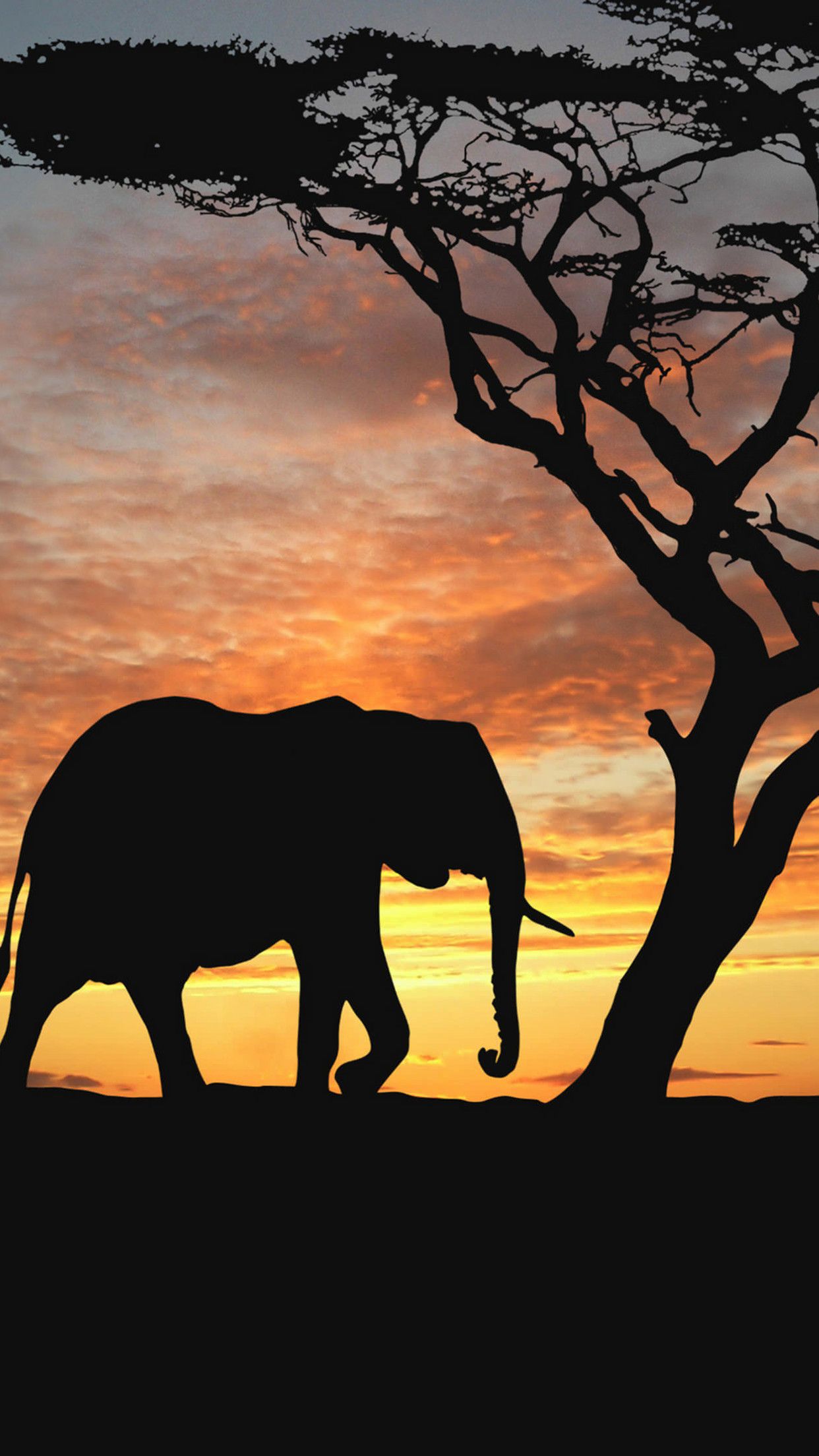 Elefante silhouette tramonto savana, 1242x2208 Verticale, iPhone Air
