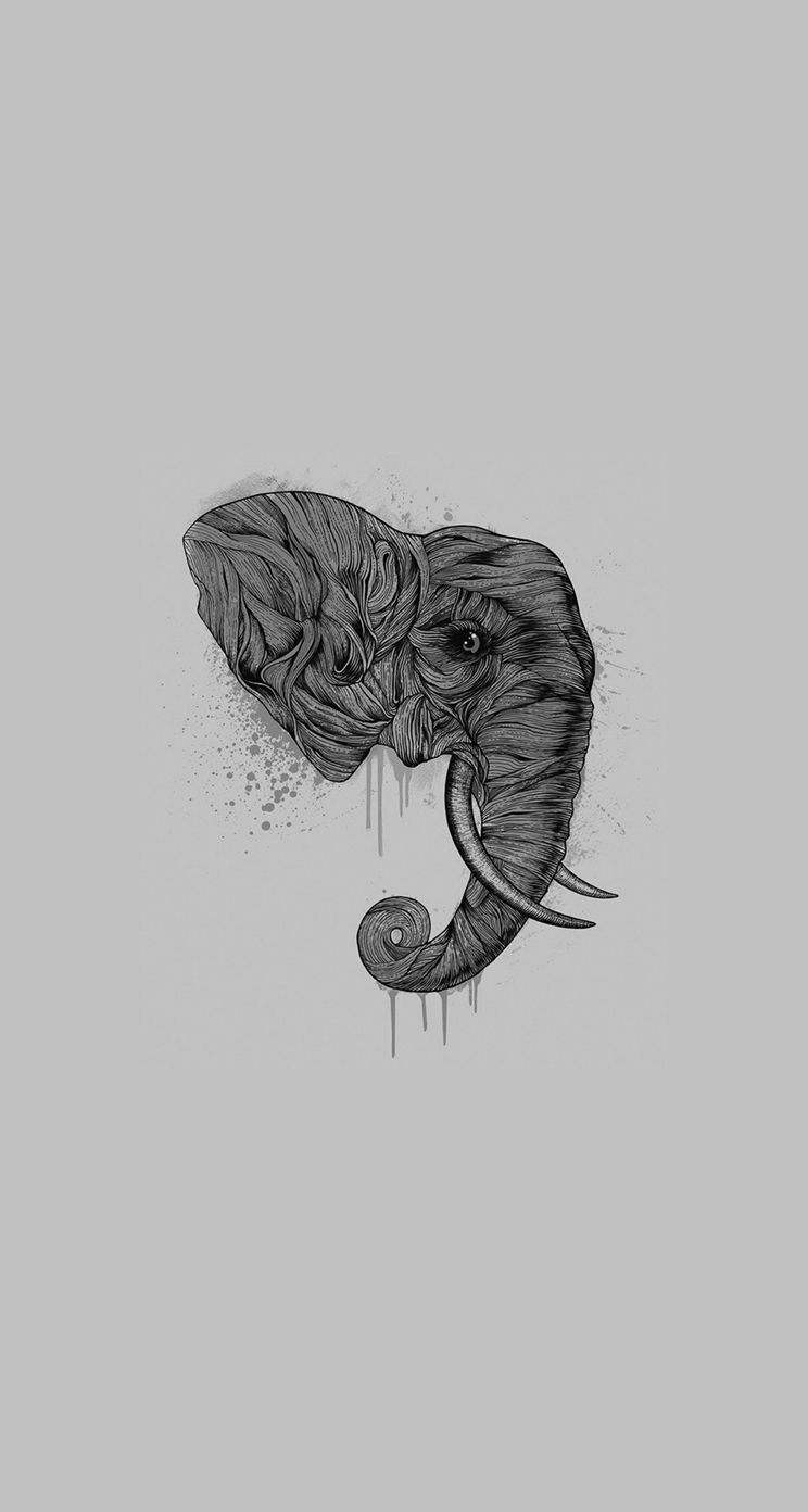Elefante disegno artistico grigio, 744x1392 Full HD Verticale, iPhone Pro