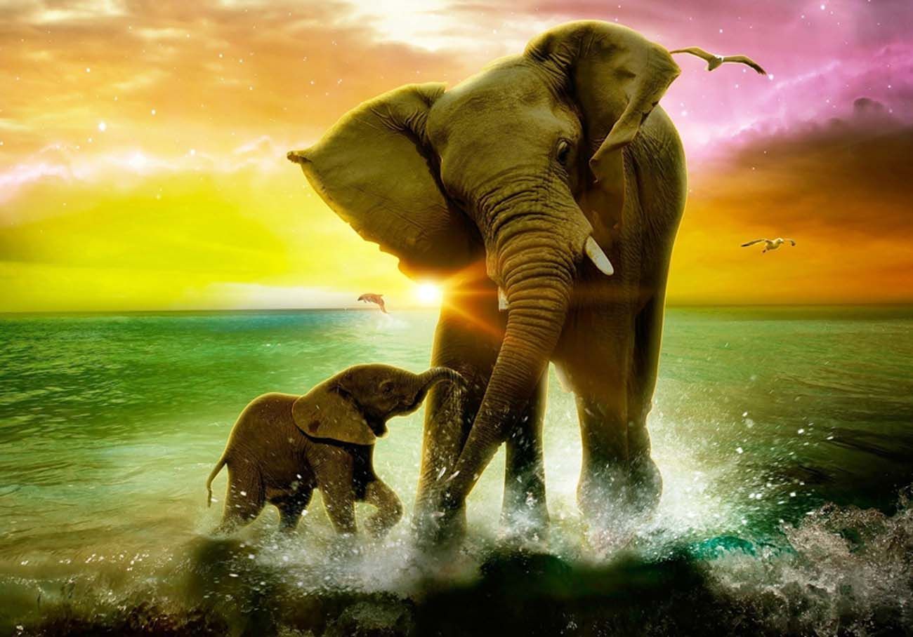 Elefante madre e cucciolo mare, 1300x908 720p, Lenovo Legion