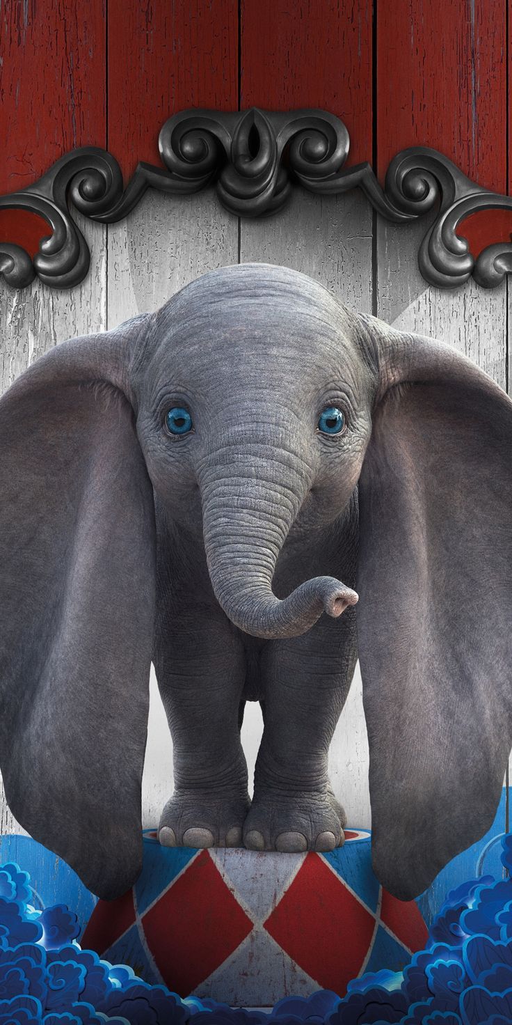 Dumbo elefantino su palla circo, 736x1472 Verticale, Mobile