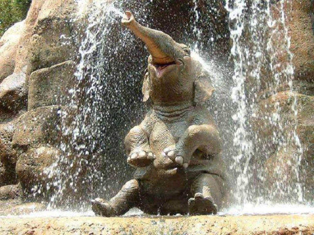 Elefantino sotto cascata, 1024x768 HD, Desktop