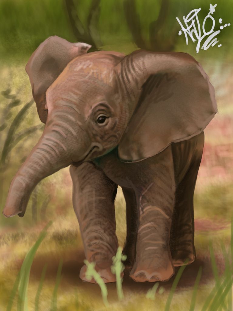Elefantino cucciolo dipinto, 768x1024 Full HD Verticale, Smartphone
