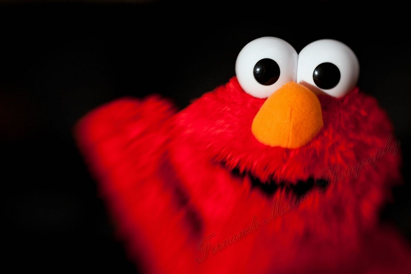 Elmo pupazzo rosso Sesame Street, 1440x960 HD, Desktop
