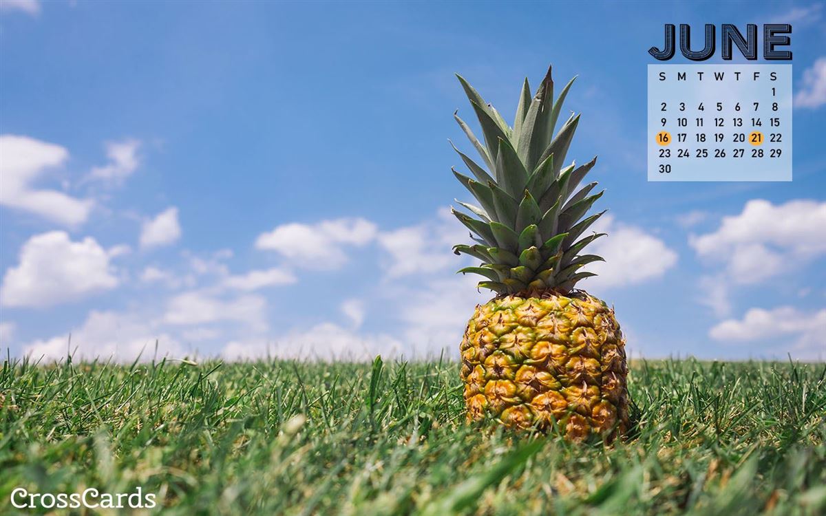 Ananas su prato calendario giugno, sfondi per Computer, 1200x750 HD, PC Desktop