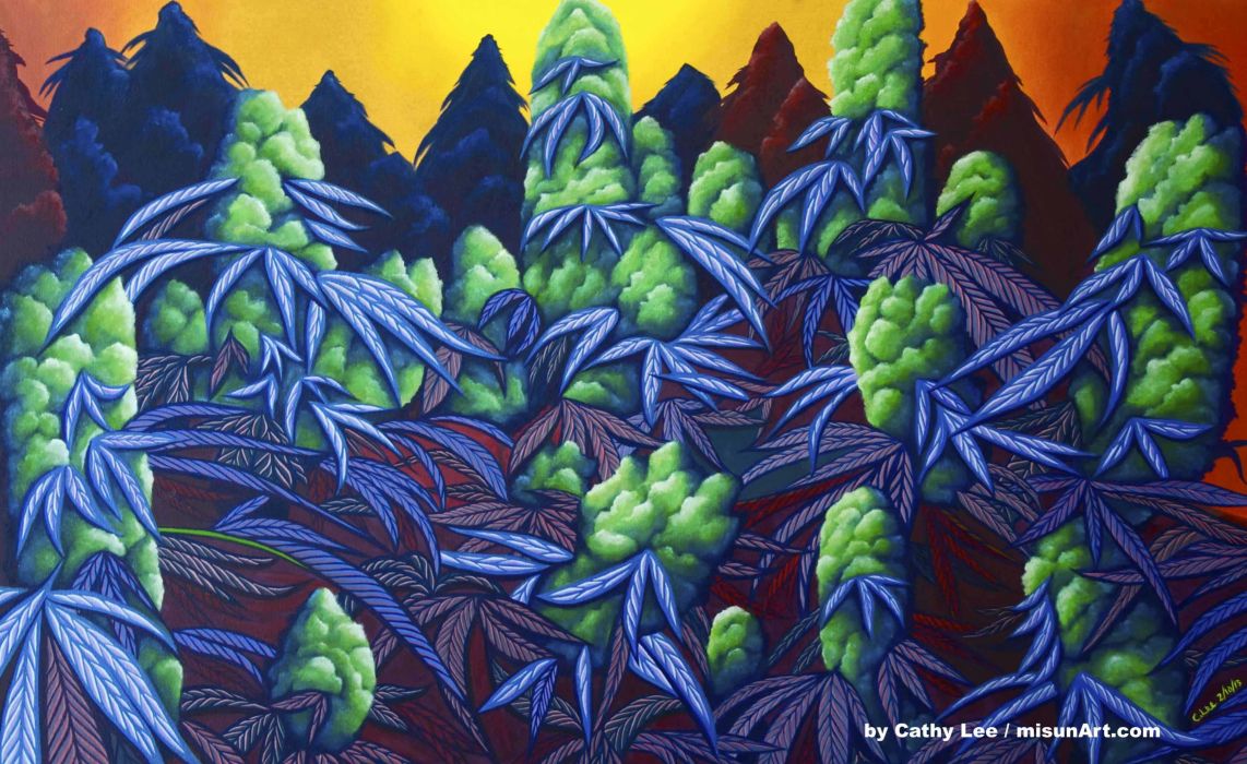 Piante di marijuana psichedeliche, 1142x700 HD, Desktop