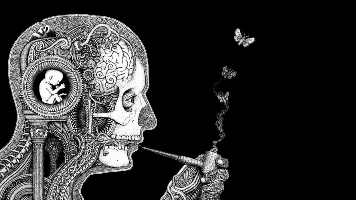 Teschio meccanico che fuma, farfalle, 1244x700 HD, PC