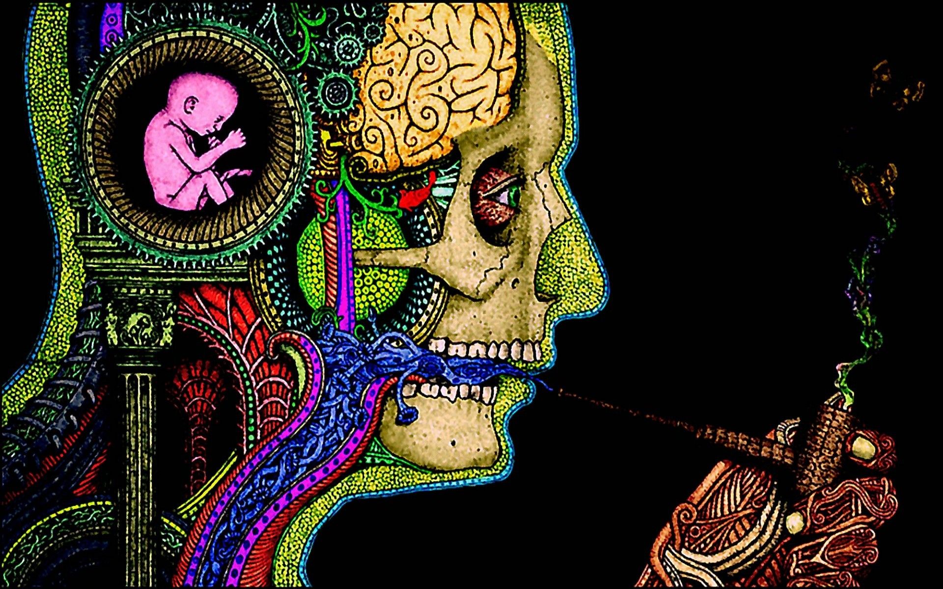 Teschio psichedelico con feto e pipa, 1920x1200 WUXGA, PC Desktop