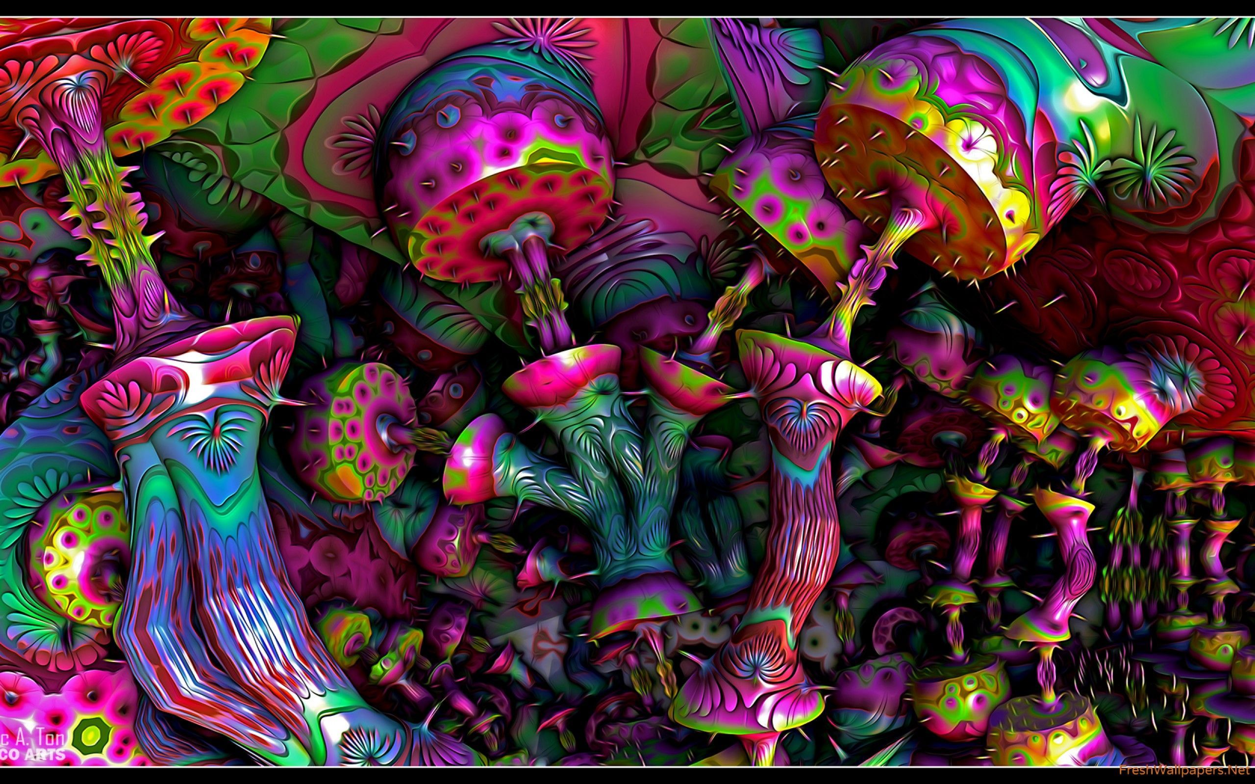 Funghi psichedelici colorati astratti, 2560x1600 2K, Laptop