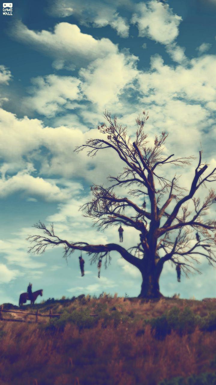 Witcher 3 cavaliere albero impiccati, 720x1280 Verticale, Telefono