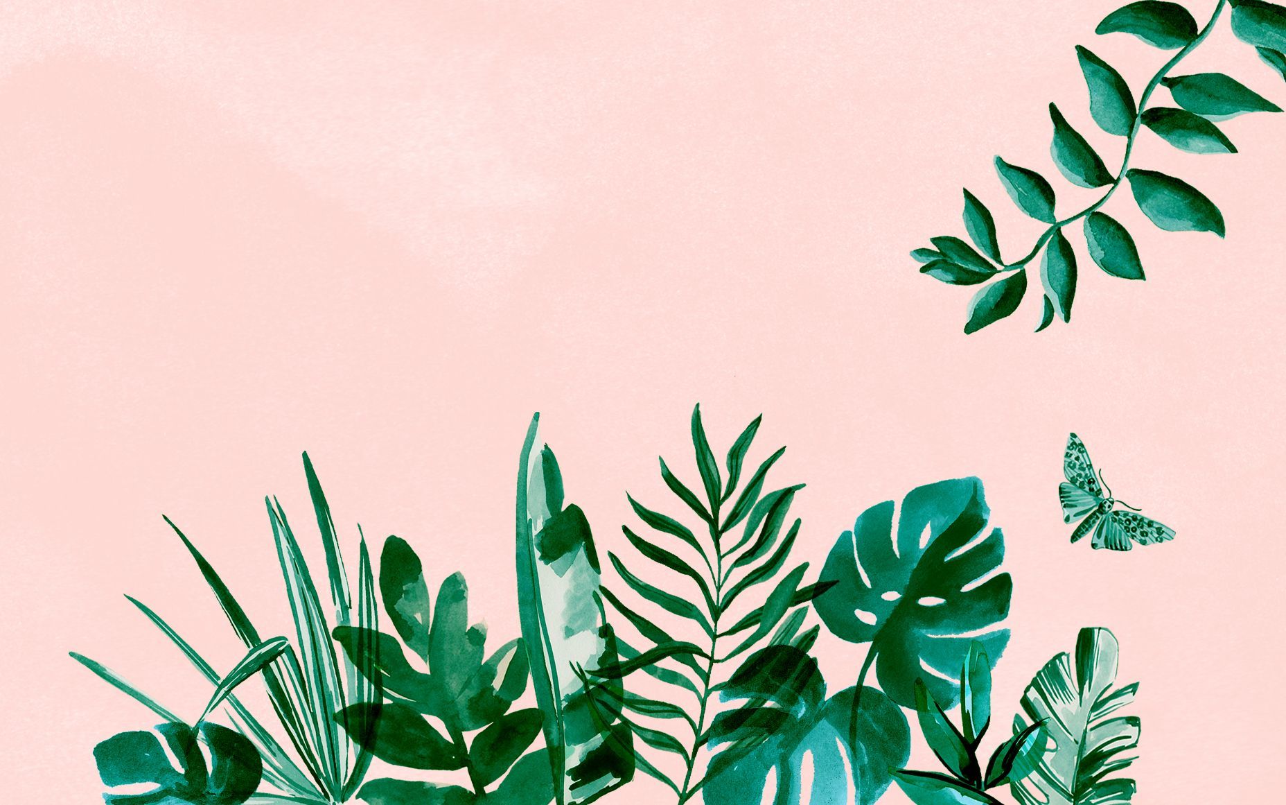 foglie tropicali sfondo rosa, 1856x1161 HD, PC