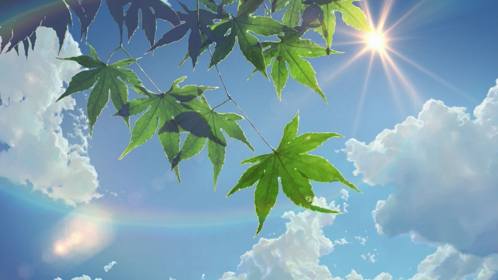 Foglie verdi cielo soleggiato, 1920x1080 Full HD, Desktop
