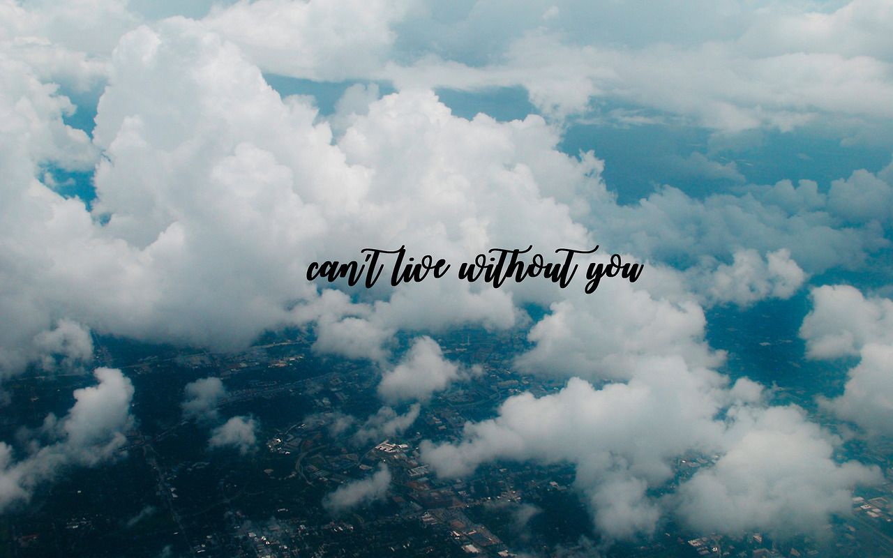 Tumblr per Desktop, 1280x800 720p, PC