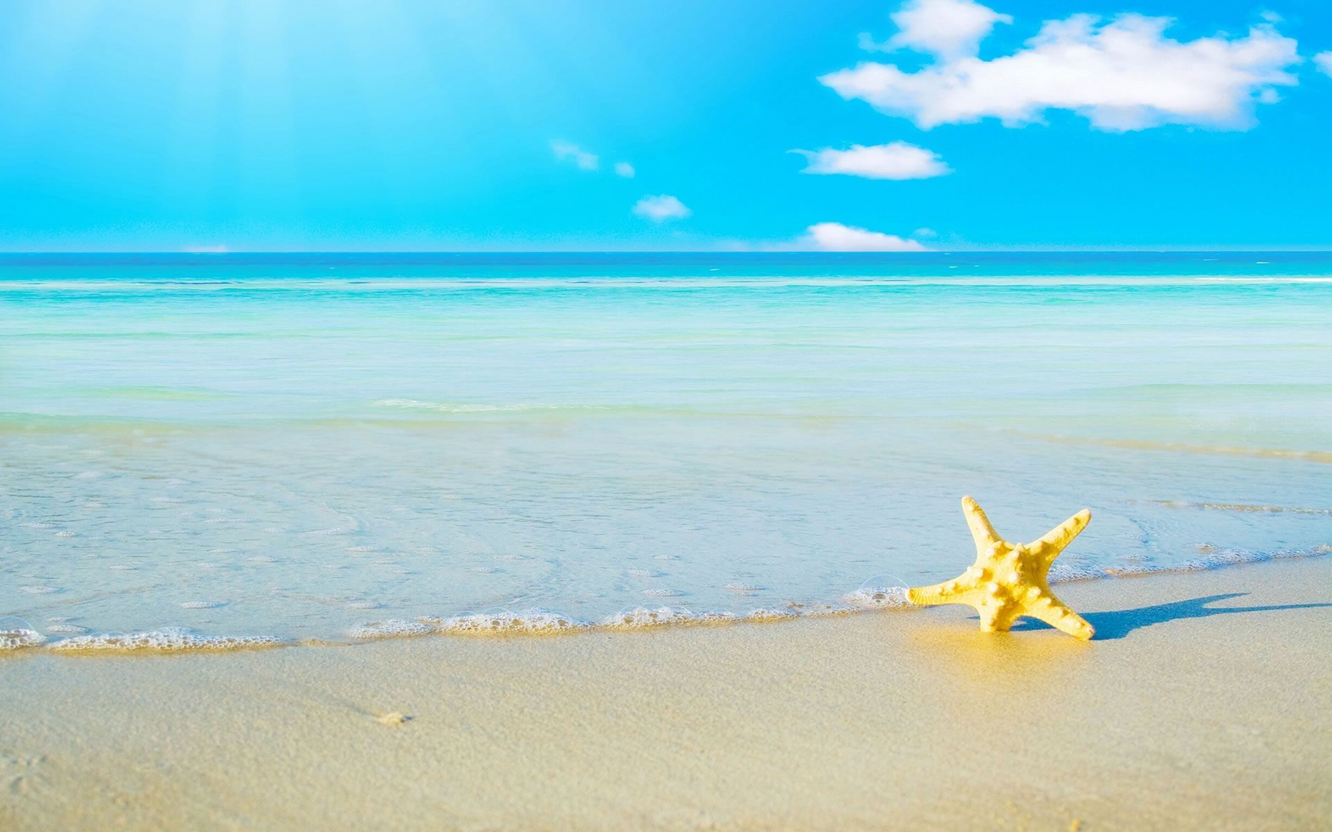 Stella marina spiaggia tropicale, 1920x1200 WUXGA, PC