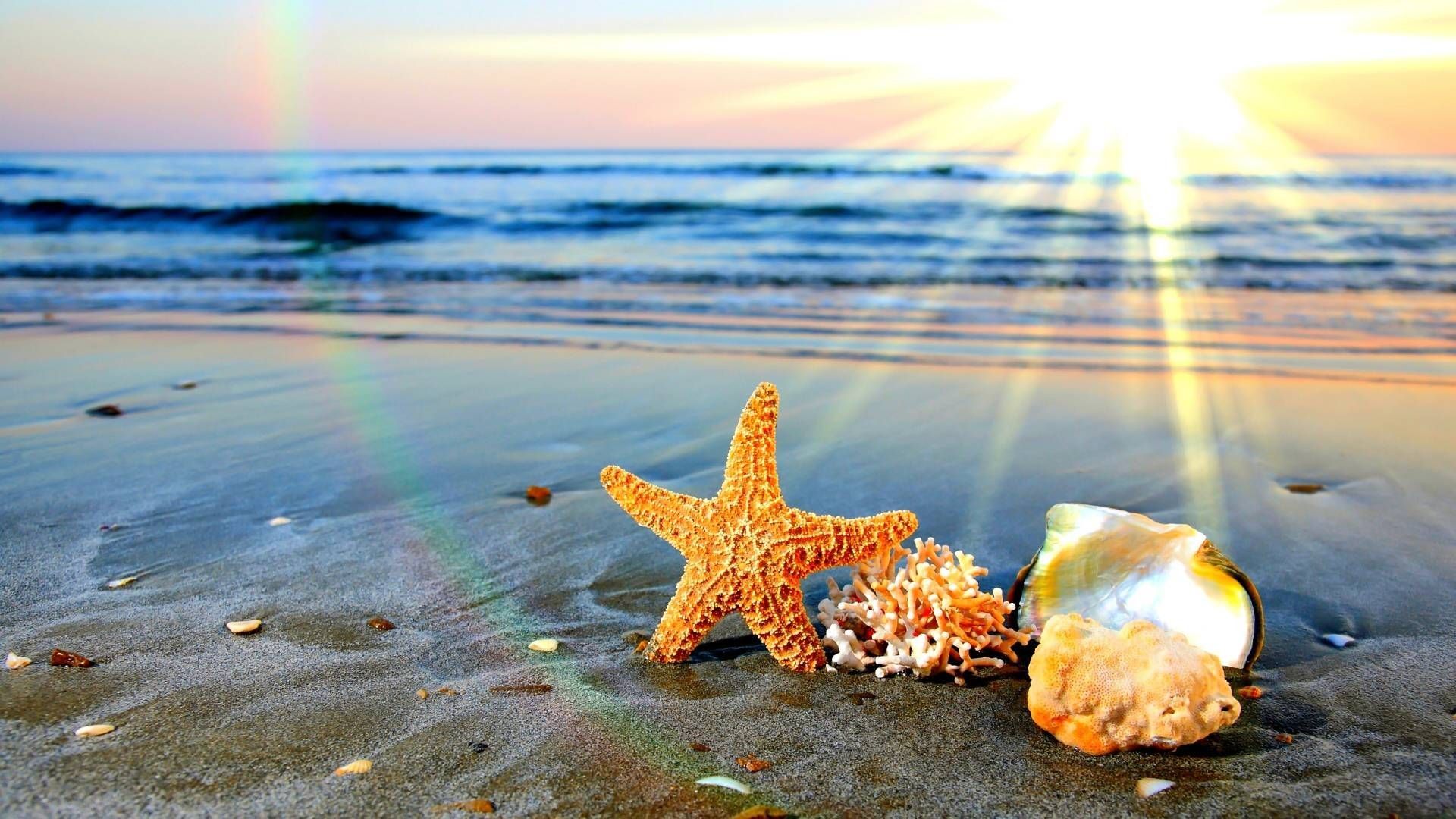 stella marina spiaggia tramonto, 1920x1080 Full HD 1080p, Laptop