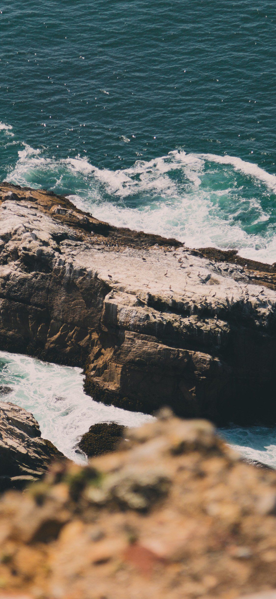 Scogliera con onde oceaniche, 736x1308 Full HD Verticale, iPhone Pro Max