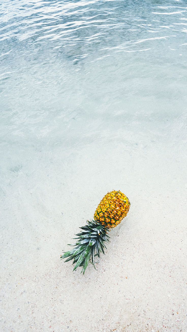 Ananas su spiaggia bagnata, 736x1308 Verticale, Mobile