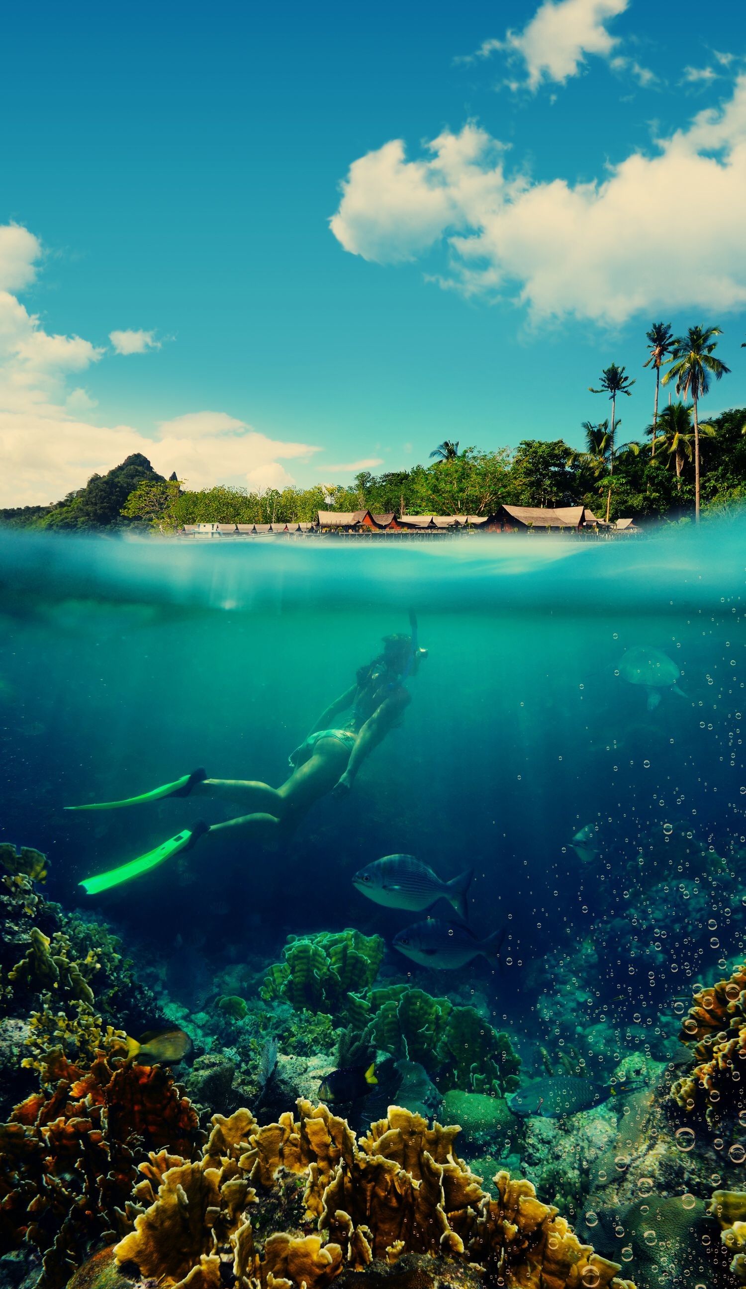 Snorkeling oceano tropicale spiaggia, 1500x2592 Verticale, iPhone Pro Max