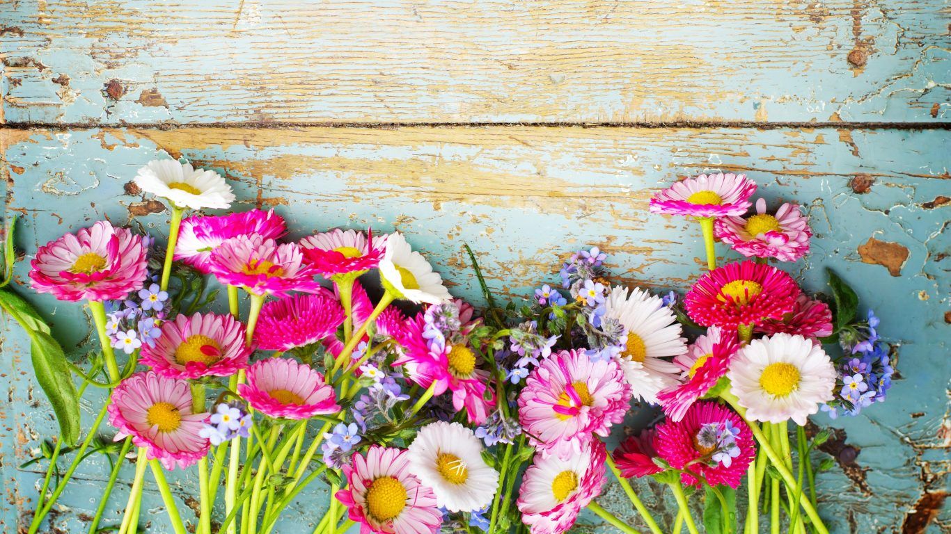 Fiori colorati su legno vintage, 1366x768 HD, Desktop
