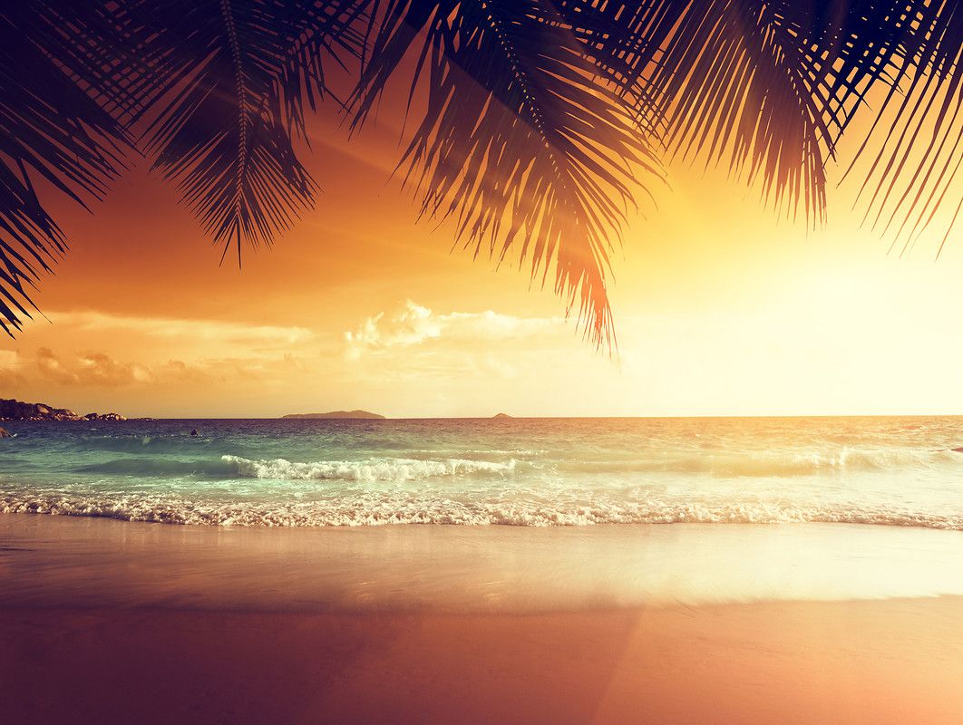 Tramonto spiaggia tropicale palme, 1062x800 HD, Desktop