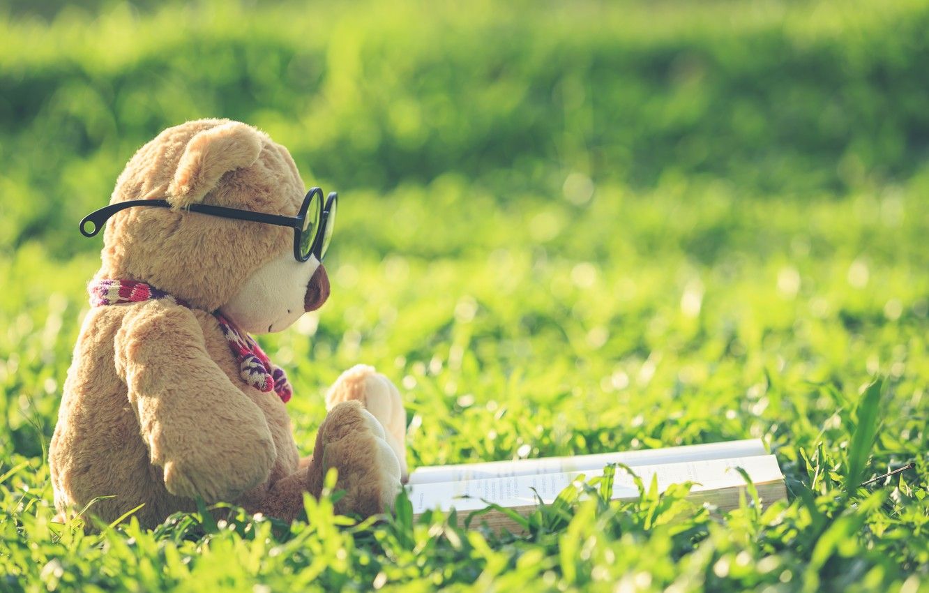 Orsetto peluche con occhiali sull'erba, 1332x850 HD, Desktop