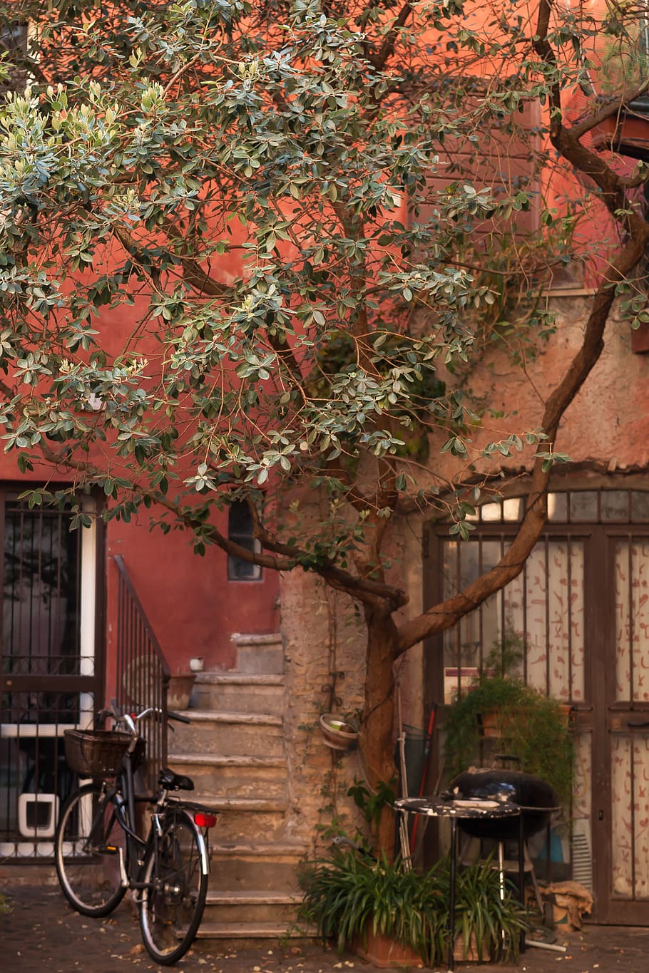 Bicicletta albero cortile vintage, 910x1365 Full HD Verticale, Smartphone