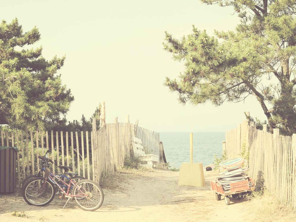 Sentiero spiaggia biciclette vintage, 1024x768 HD, PC Desktop