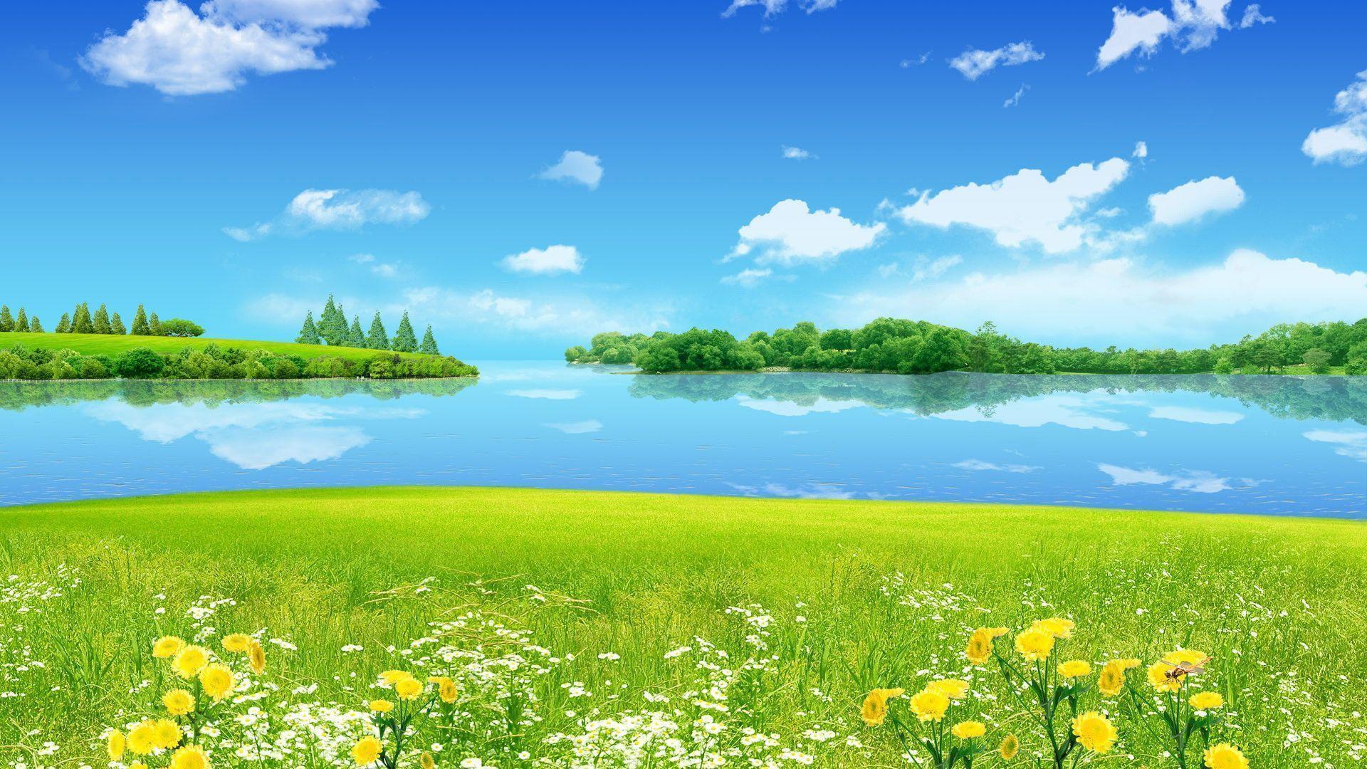 Prato verde cielo blu estivo, 1920x1200 Full HD+ WUXGA, Laptop
