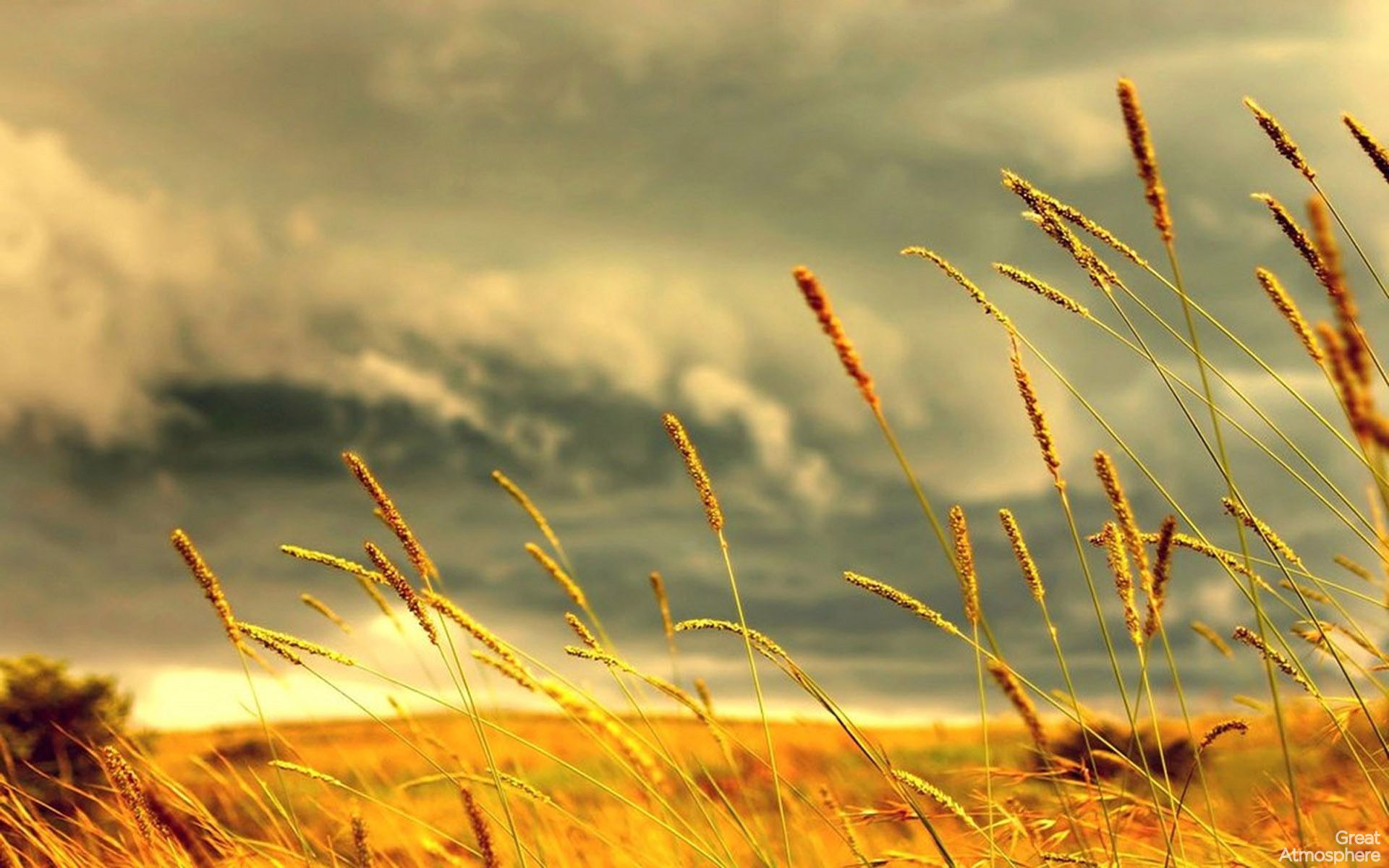 Spiaggia tropicale acqua turchese, 1920x1080 Full HD 1080p, Laptop