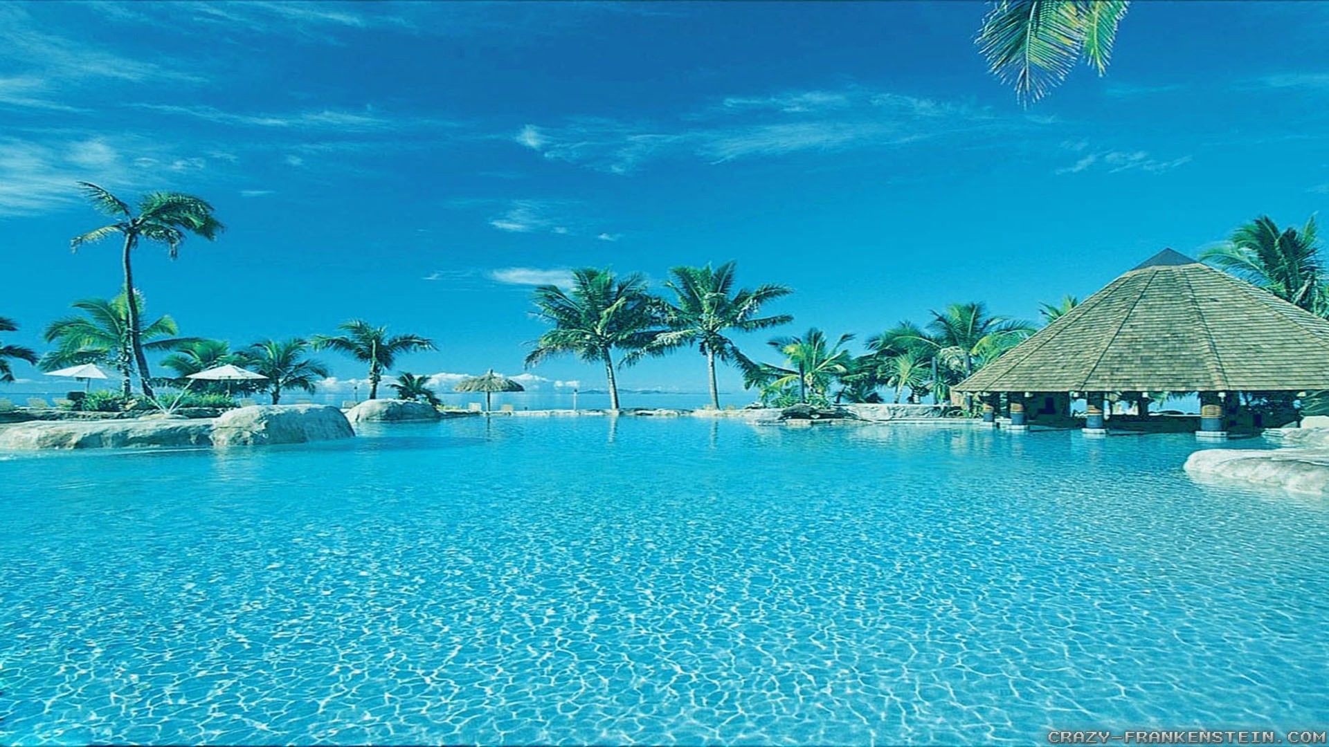 Spiaggia tropicale con palme, 1920x1080 Full HD 1080p, Desktop