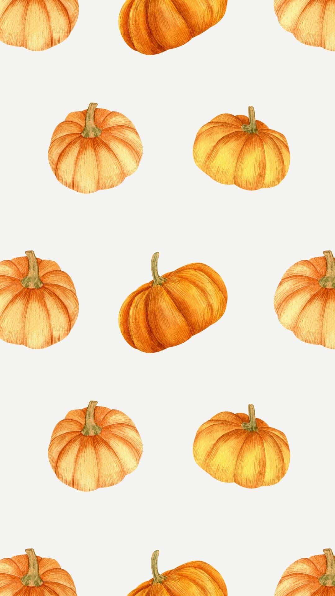 Zucche autunnali illustrate, 1080x1920 Full HD Verticale, iPhone
