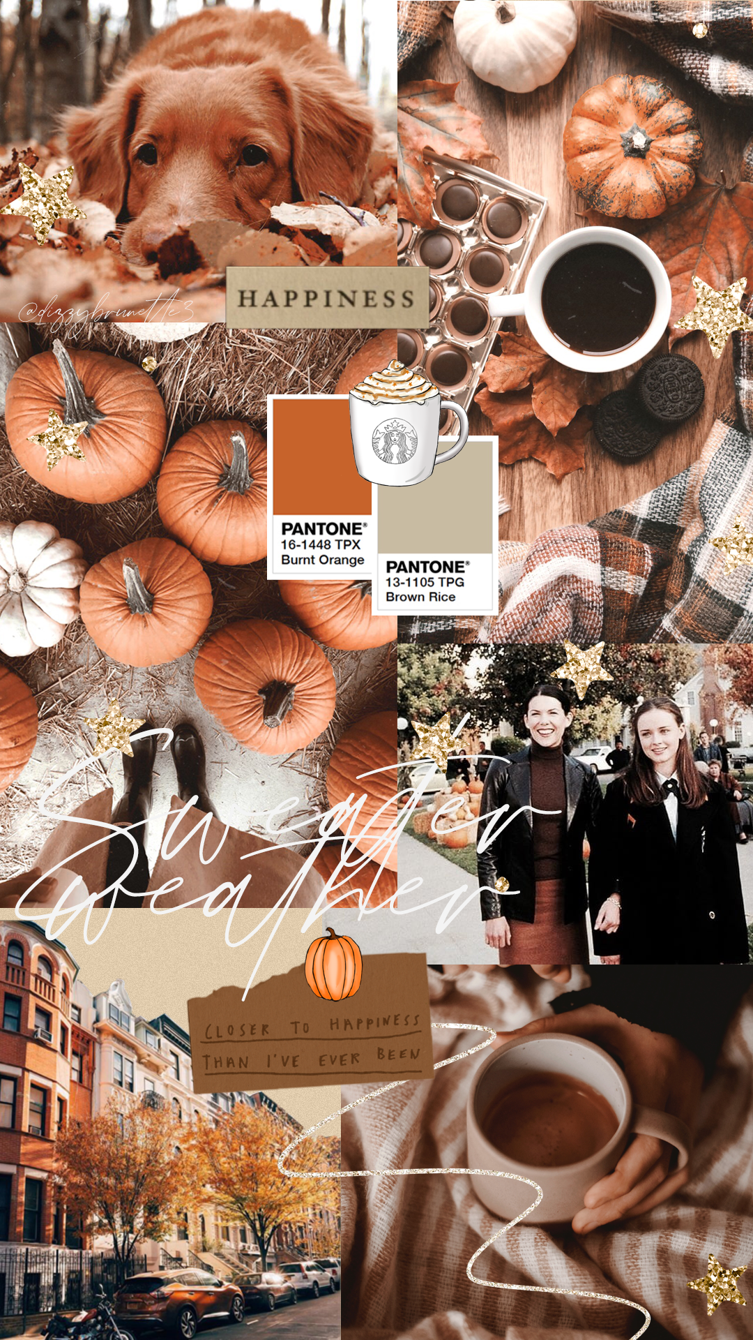 Collage autunnale zucche cane, 1080x1920 Full HD Verticale, iPhone