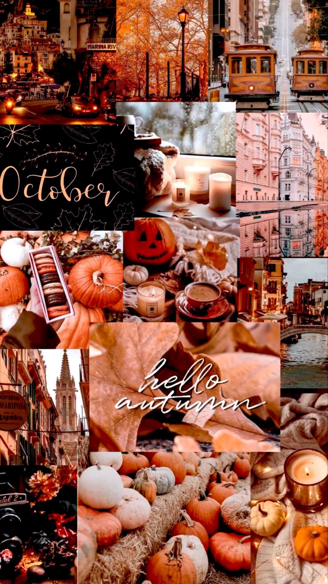 Collage autunnale zucche caffè, 1080x1920 Verticale, Mobile